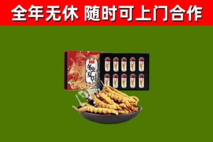 兴安区回收冬虫夏草价格